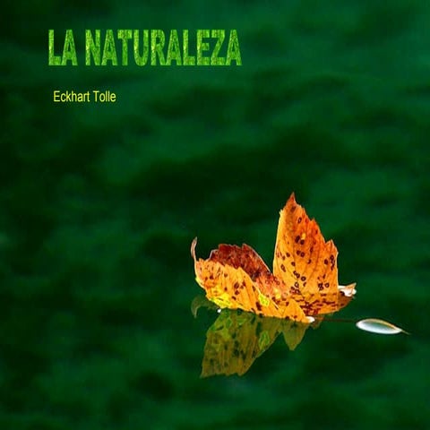 naturaleza