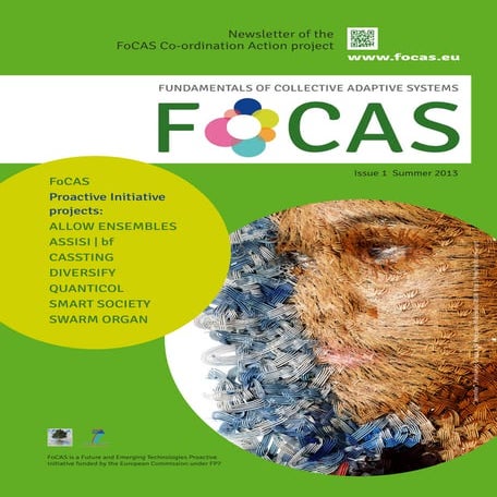 FoCAS Newsletter Issue 1: Septemeber 2013