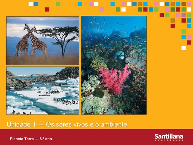 1. os seres vivos e o ambiente