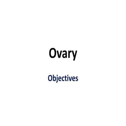 Histology of ovary