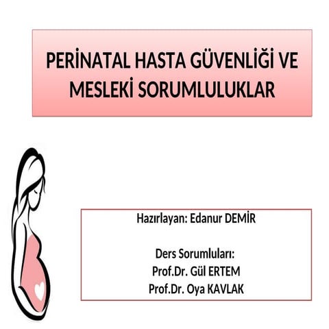 1- PERİNATAL HASTA GÜVENLİĞİ VE MESLEKİ SORUMLULUKLAR (1).ppt