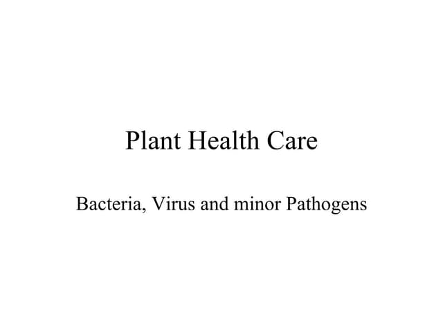 1 Plant Health Care Bacteria, Virus, Photoplasma