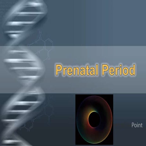 prenatal, infancy and toddlerhood