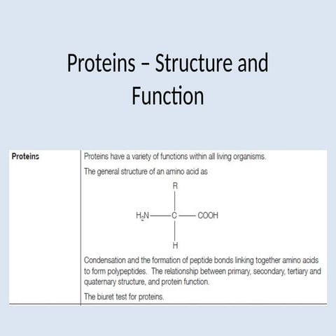Comprehensive Overview of Protein Structure and Function in Biology | PPTX