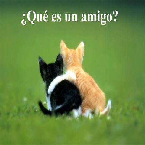 1. qué es un amigo