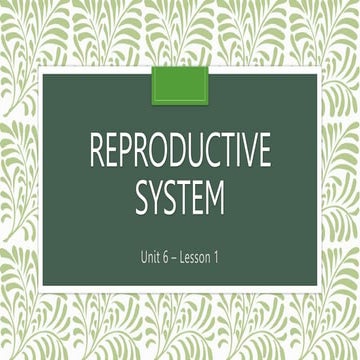 1-Reproductive-System-1.pptxheevhndhagdw