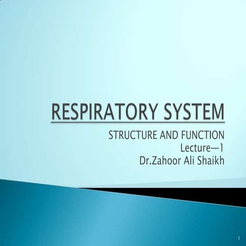 1. respiratory system