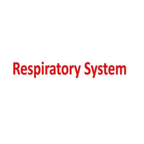 1 respiratory system