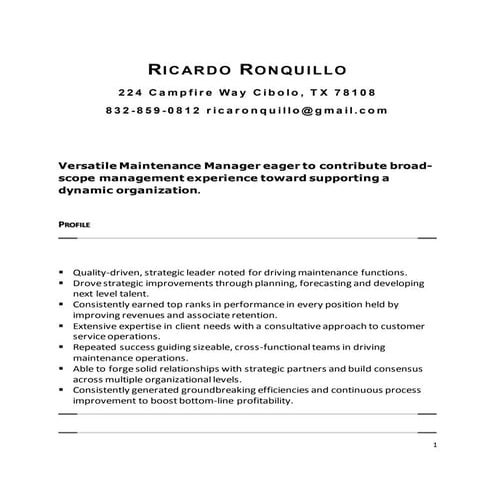 Lori Sealock CGI resume | DOCX
