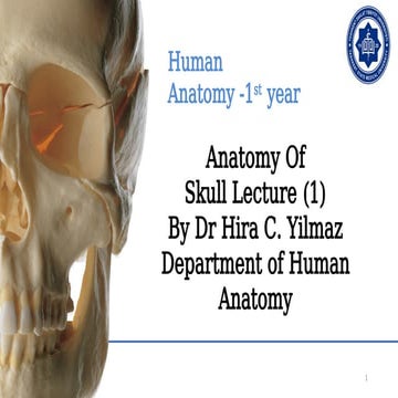 1-SKULL Lecture presentation with bones & attachments | PPTX
