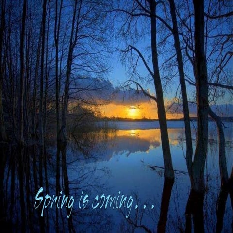 1 spring is-coming