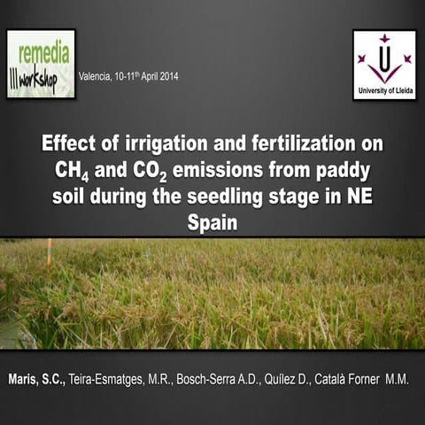 0890 Methane and Nitrous Oxide Emissions from Paddy Rice Fields in ...