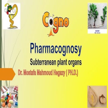 subterranean intro and liquorice