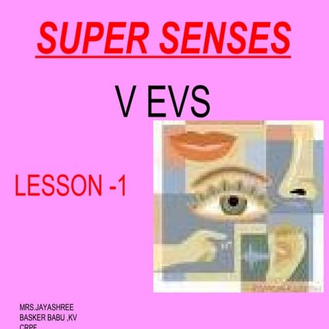 Super senses class 5 | PPTX