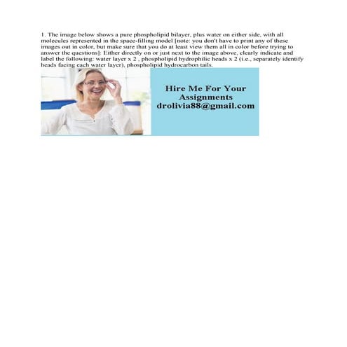 1- The image below shows a pure phospholipid bilayer- plus water on ei.pdf