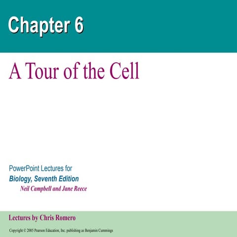 1-Tour-of-the-Cell.pptxbskkkqhsiinsjejje | PPTX