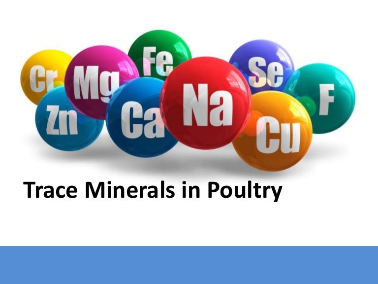 Trace_Minerals_In_Poultry