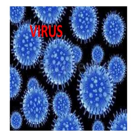 Virus | PPT