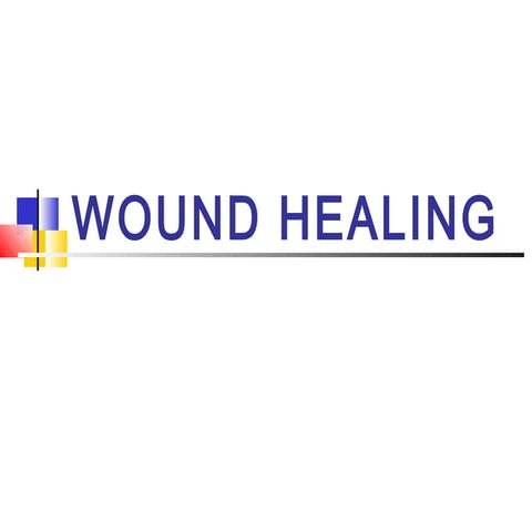 wound healing PPT