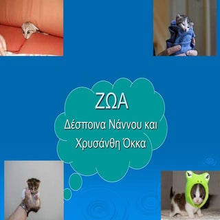 Ε1 - Δέσποινα, Χρυσάνθη  - Zώα