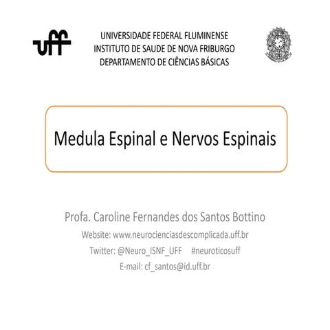 MEDULA ESPINAL E NERVOS ESPINAIS