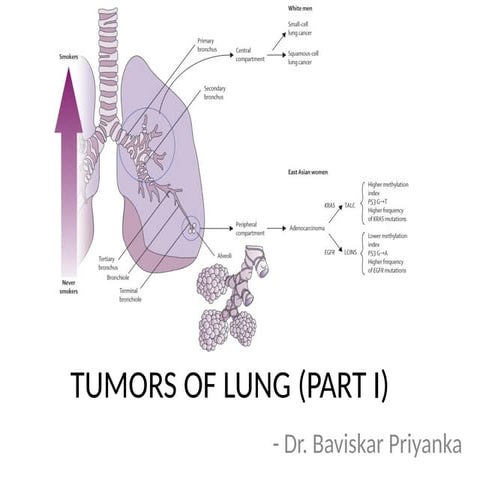 Classification, Histology and Clinical Features of Lung Cancer | PPTX