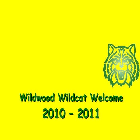 10.11 Wildwood Opening