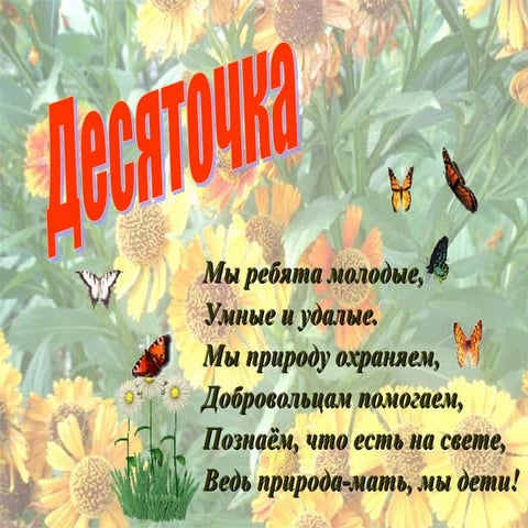 визитка моу № 10