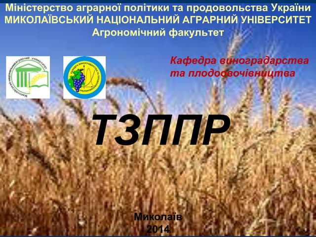 тзппр лекція 10