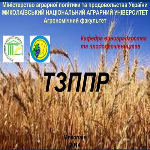 тзппр лекція 10