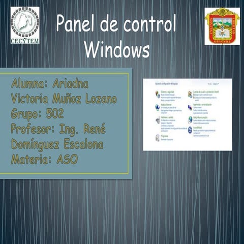 10. panel de control.