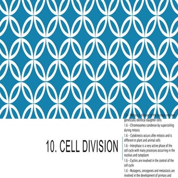 10. cell division