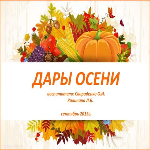 дары осени 10 группа