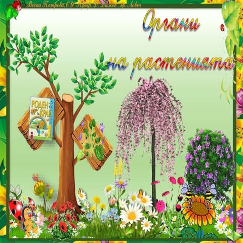 10. Органи на растенията - РК, Просвета, В. П.