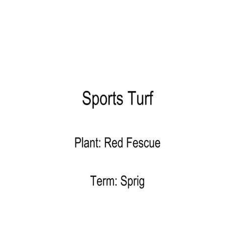 10 15 Sports Turf1 | PPT