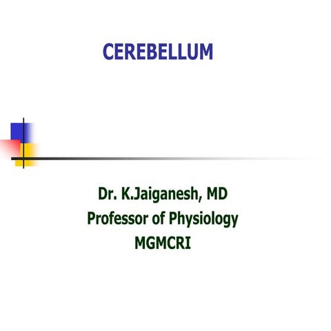 10.cerebellum.kjg