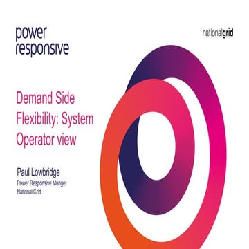 Opportunities for Energy Users in Demand Side Response