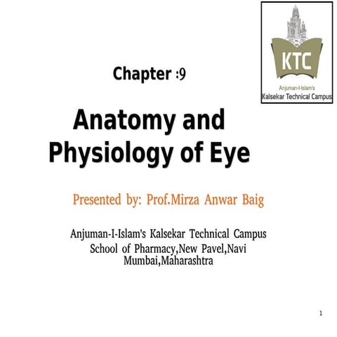 anatomy and physiology of eye