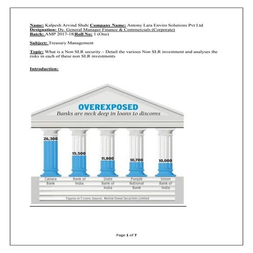 Treasury Management | PDF