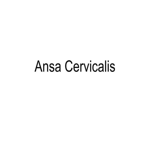 Ansa cervicalis