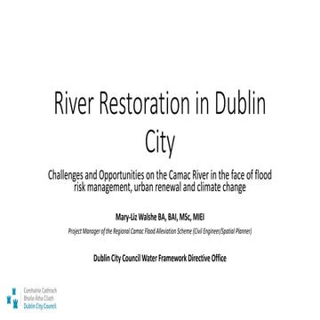 10. Restoring the River Camac - Mary-Liz Walshe, DCC