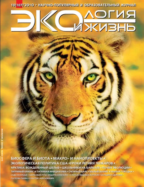 Эиж 6-2009a | PPT