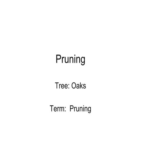 10 20 Pruning