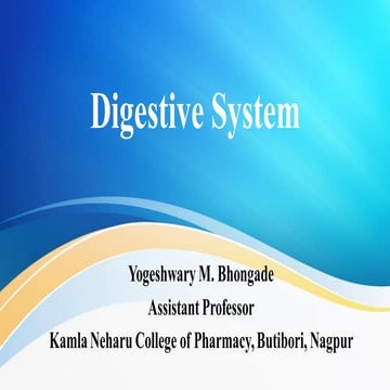 10. digestive system