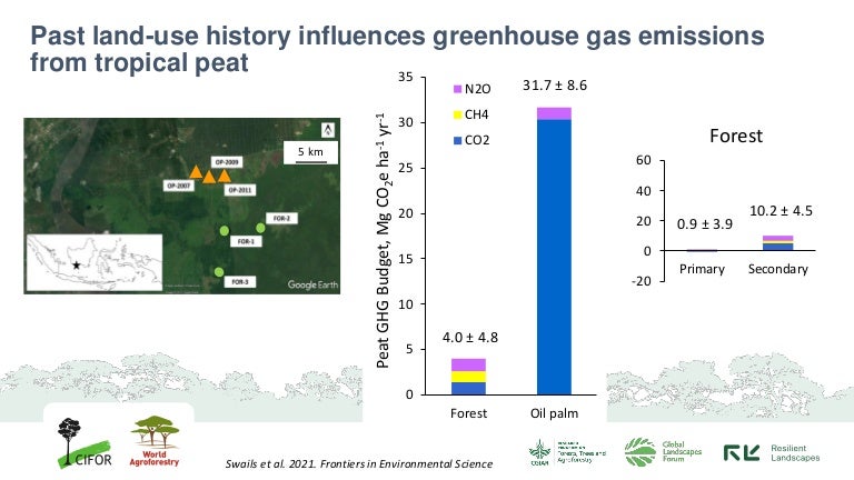 thumbnail of  Contributions of methane and nitrous oxide to peat greenhouse gas emissions from forests and oil palm plantations in an Indonesian peatland
