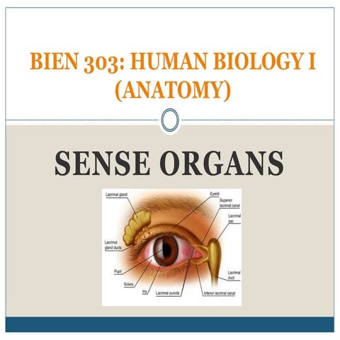 10. Anatomy_Sense Organs.pptx