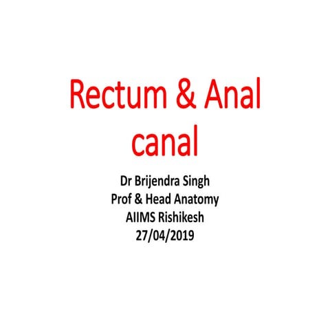 10.-Rectum-anal-canal-BS-Copy.pdf