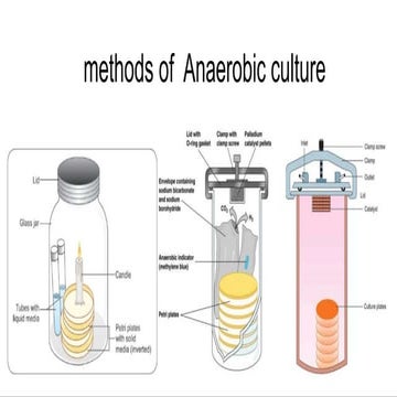 10. ANAEROBIC CULTURE.pptx