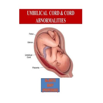 UMBLICAL CORD