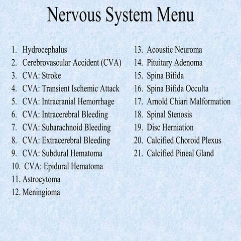 10.-Nervous-System.pdf